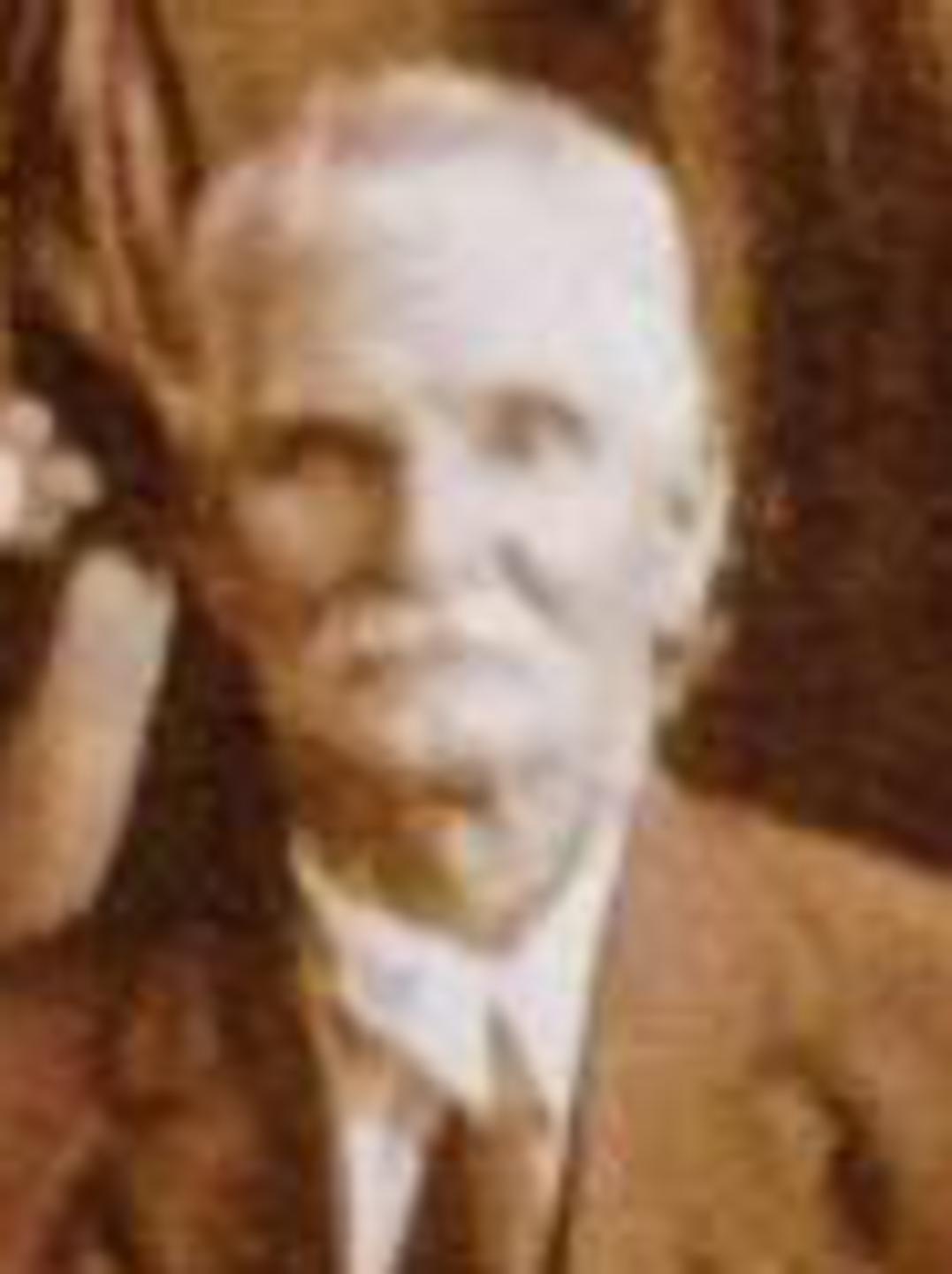 David Moroni Ellis (1859 - 1928) Profile